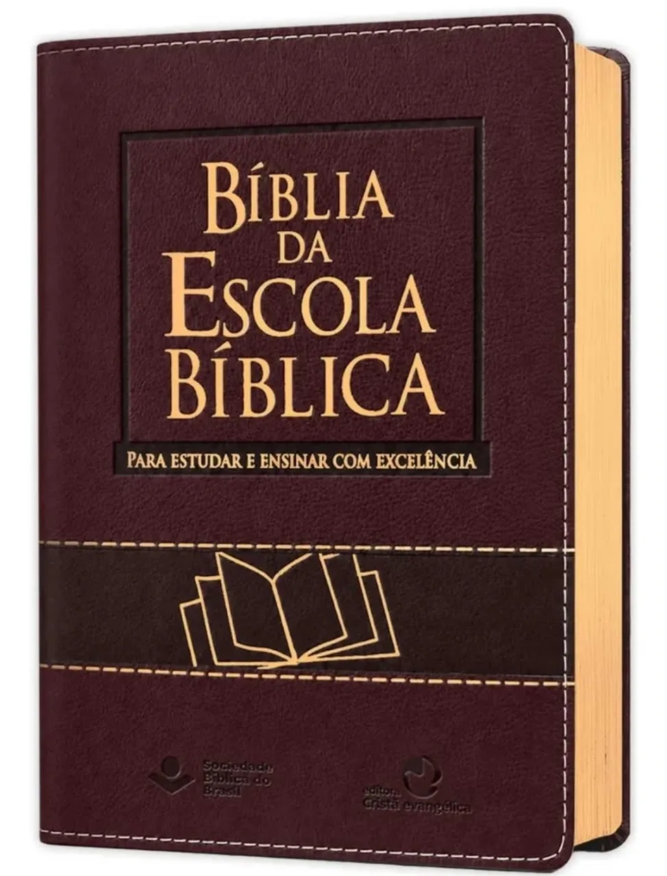 Bíblias de Estudos